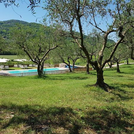 Il Vecchio Gelso - Agriturismo Rimini Montefiore Conca Willa Zewnętrze zdjęcie