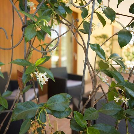Il Vecchio Gelso - Agriturismo Rimini Montefiore Conca Willa Zewnętrze zdjęcie