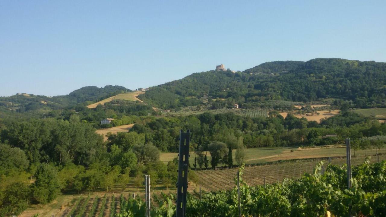 Il Vecchio Gelso - Agriturismo Rimini Montefiore Conca Willa Zewnętrze zdjęcie