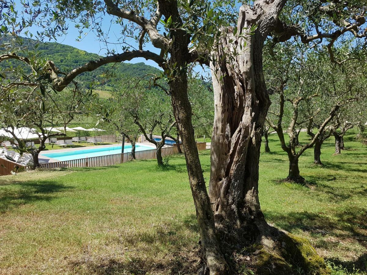 Il Vecchio Gelso - Agriturismo Rimini Montefiore Conca Willa Zewnętrze zdjęcie