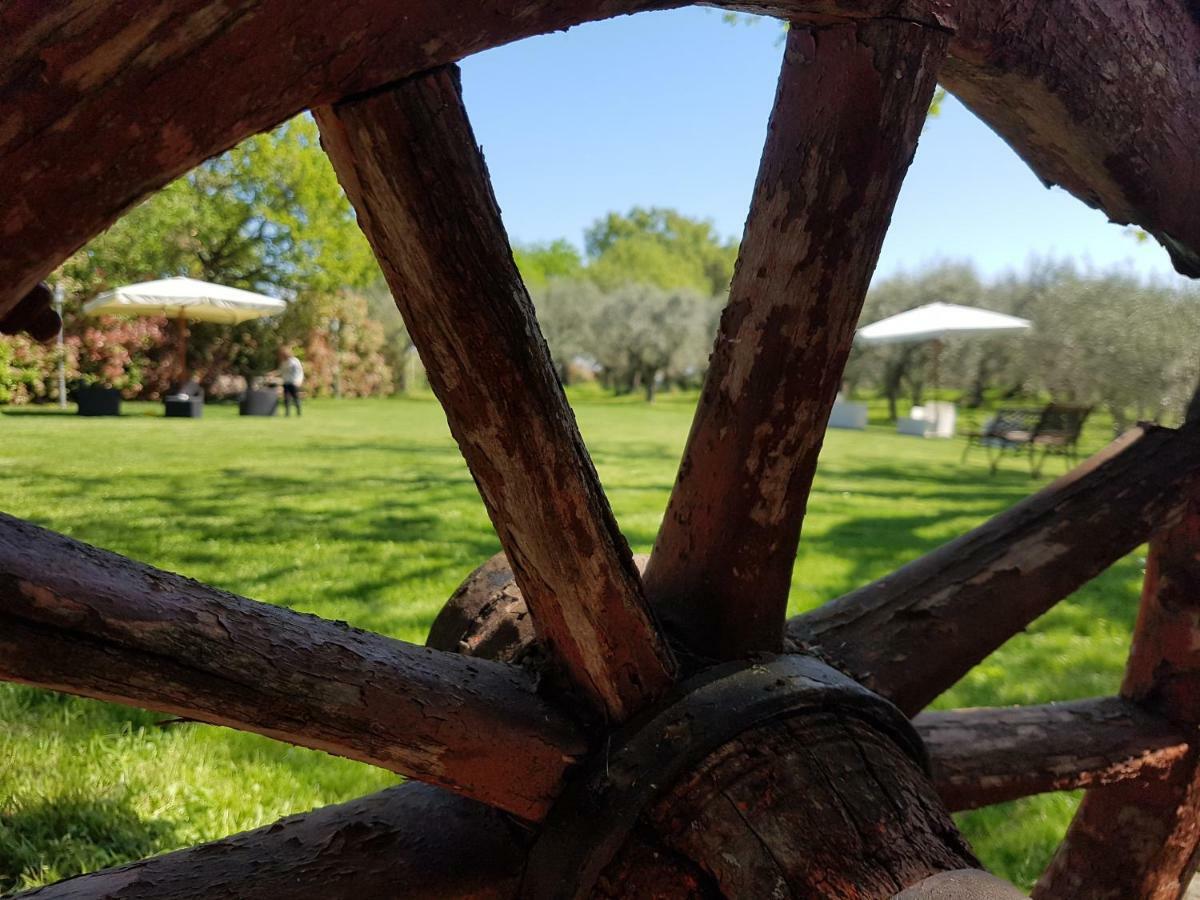 Il Vecchio Gelso - Agriturismo Rimini Montefiore Conca Willa Zewnętrze zdjęcie