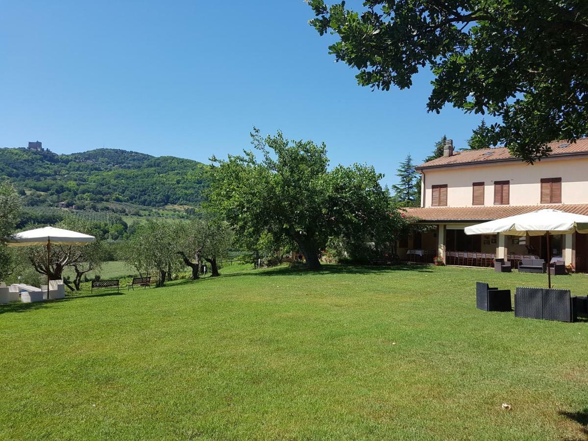 Il Vecchio Gelso - Agriturismo Rimini Montefiore Conca Willa Zewnętrze zdjęcie