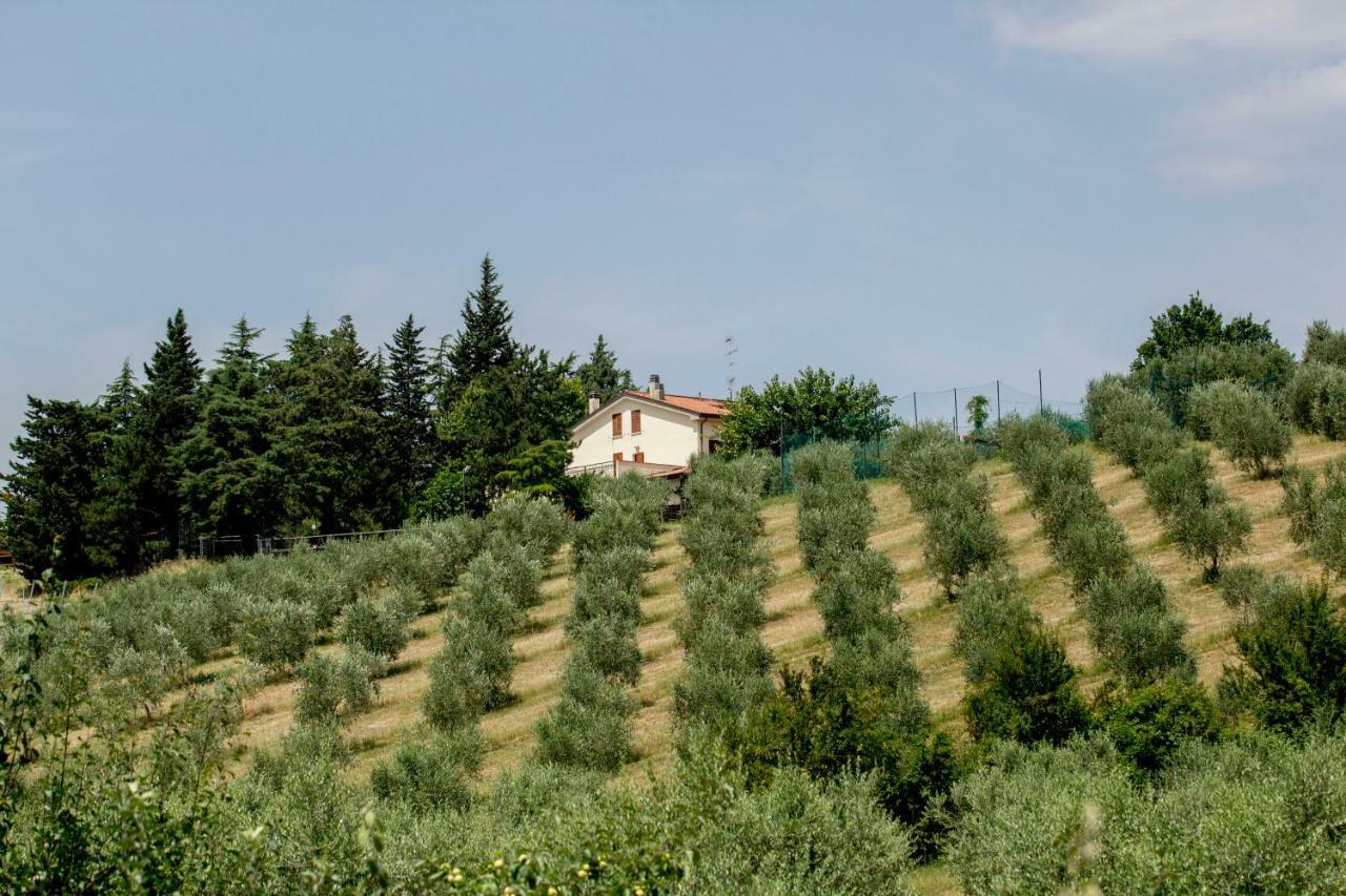 Il Vecchio Gelso - Agriturismo Rimini Montefiore Conca Willa Zewnętrze zdjęcie