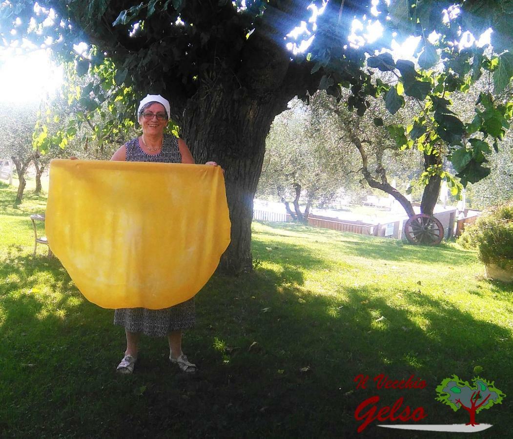 Il Vecchio Gelso - Agriturismo Rimini Montefiore Conca Willa Zewnętrze zdjęcie