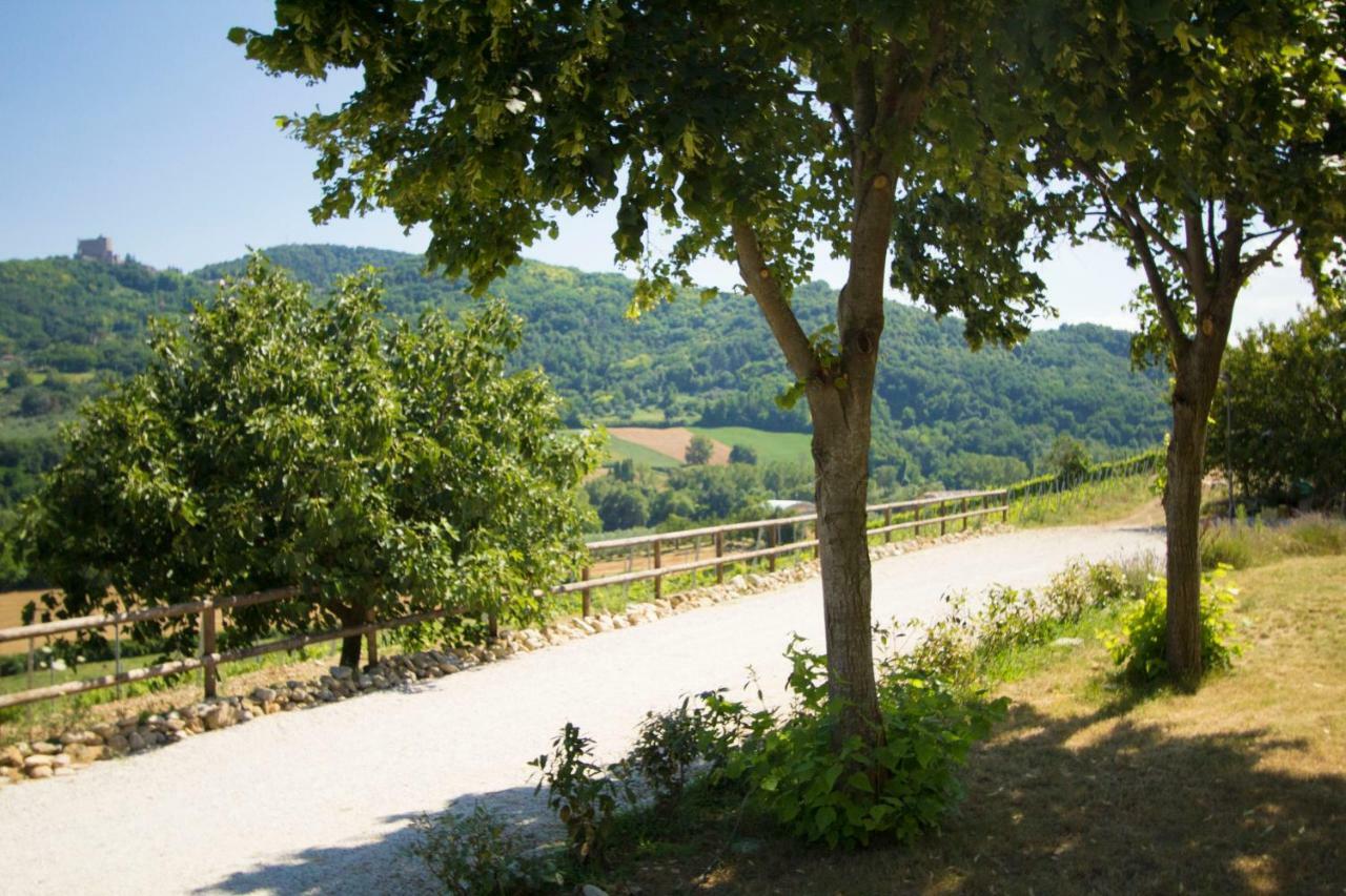 Il Vecchio Gelso - Agriturismo Rimini Montefiore Conca Willa Zewnętrze zdjęcie