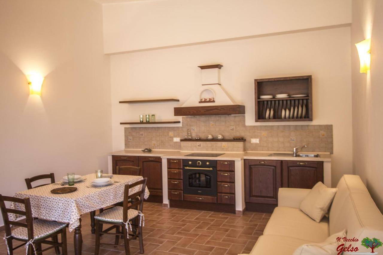 Il Vecchio Gelso - Agriturismo Rimini Montefiore Conca Willa Zewnętrze zdjęcie
