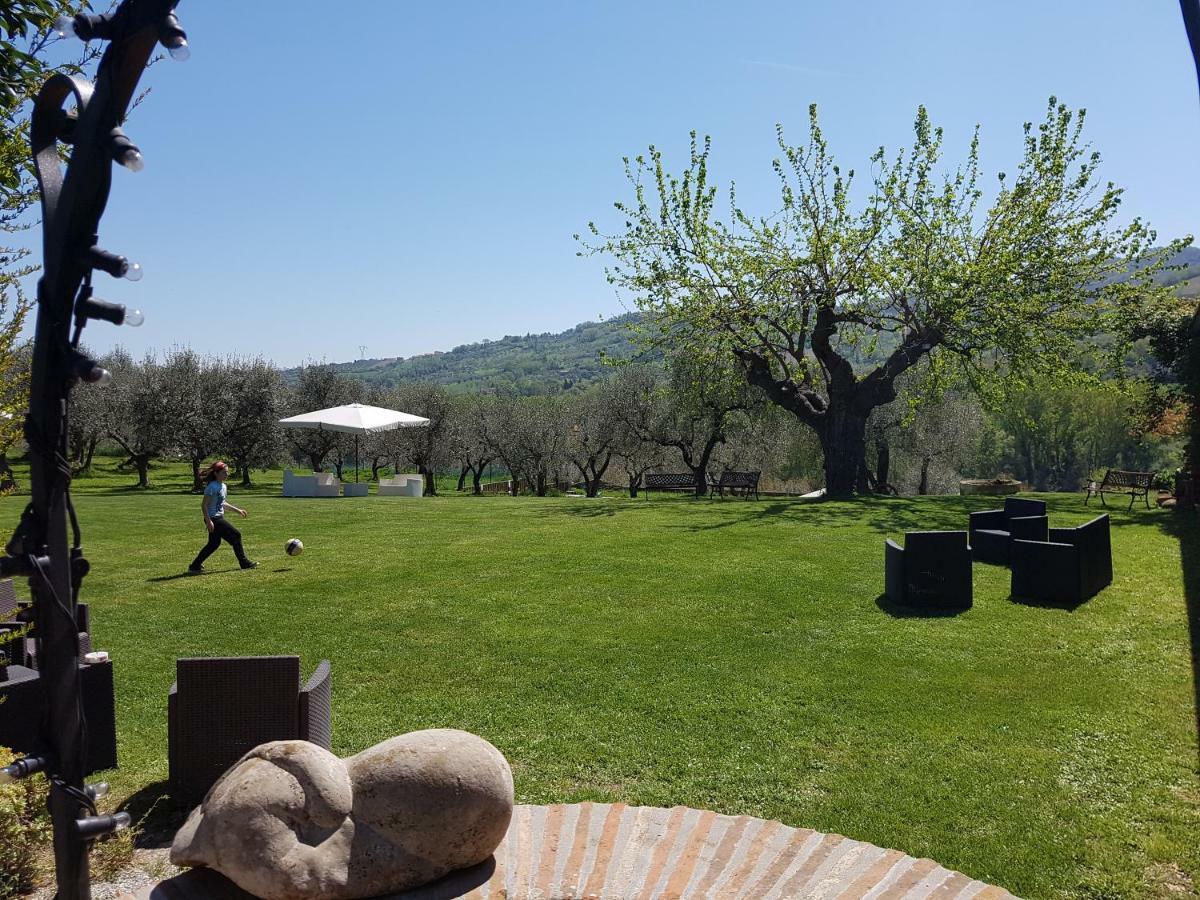 Il Vecchio Gelso - Agriturismo Rimini Montefiore Conca Willa Zewnętrze zdjęcie