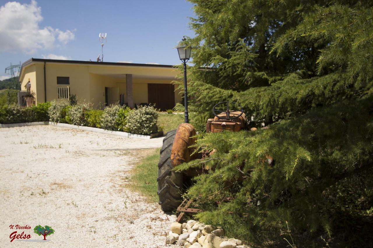 Il Vecchio Gelso - Agriturismo Rimini Montefiore Conca Willa Zewnętrze zdjęcie