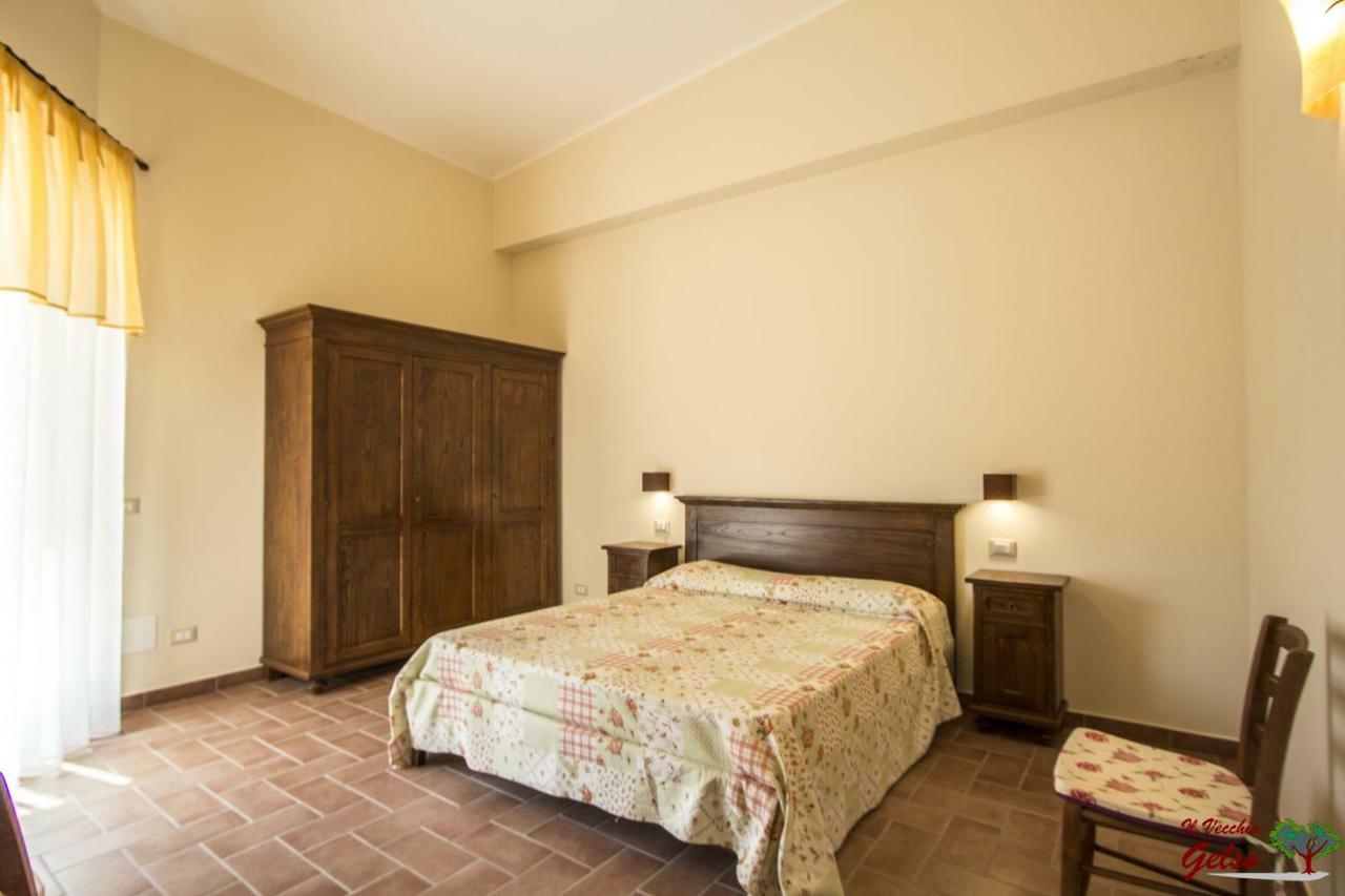 Il Vecchio Gelso - Agriturismo Rimini Montefiore Conca Willa Zewnętrze zdjęcie