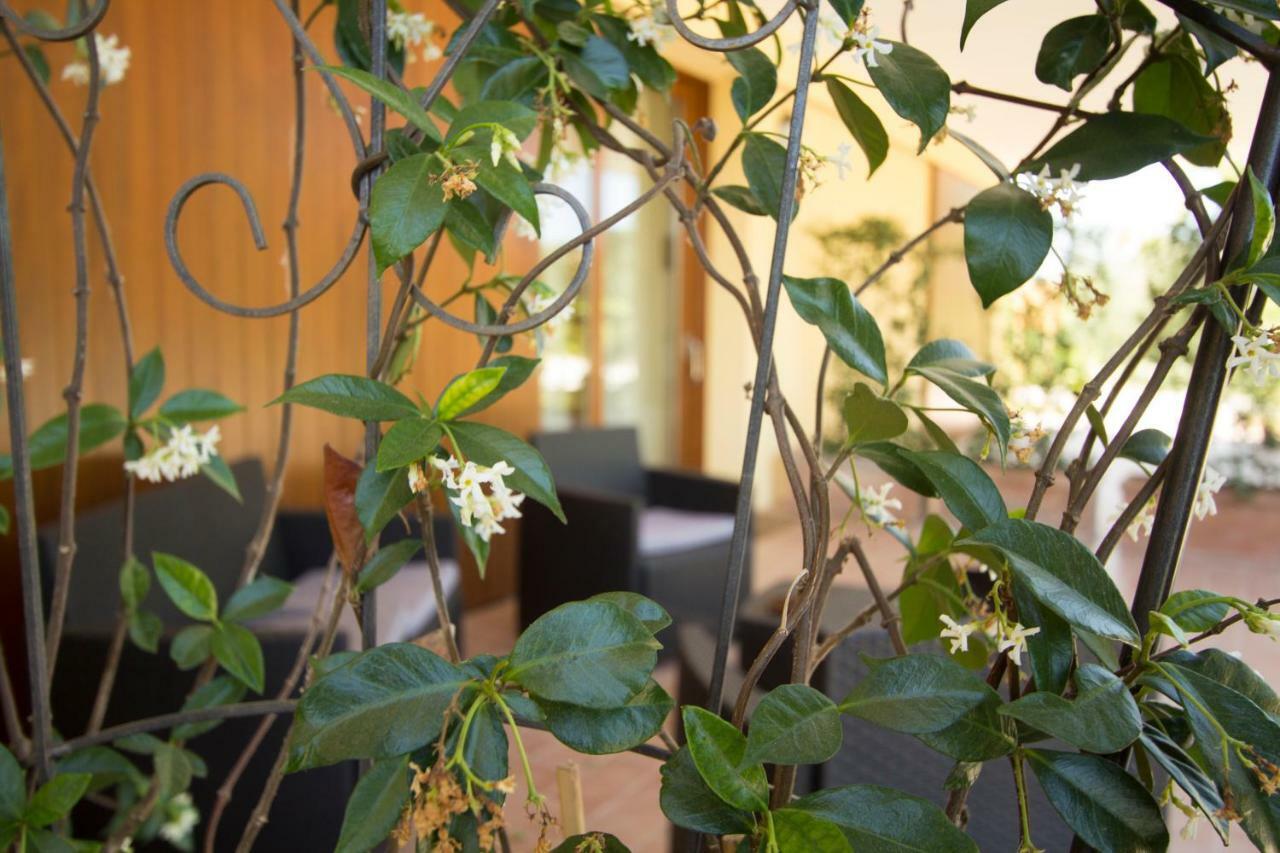 Il Vecchio Gelso - Agriturismo Rimini Montefiore Conca Willa Zewnętrze zdjęcie