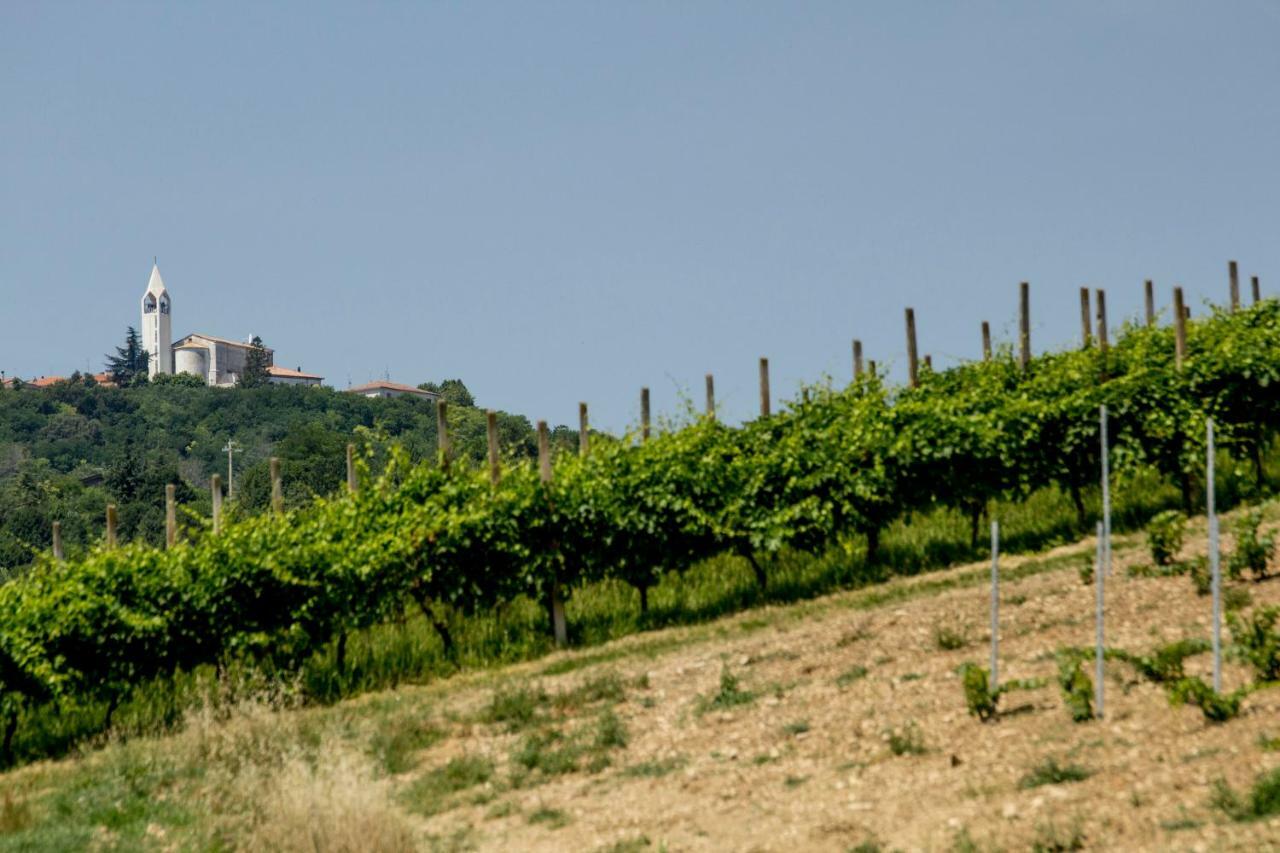 Il Vecchio Gelso - Agriturismo Rimini Montefiore Conca Willa Zewnętrze zdjęcie