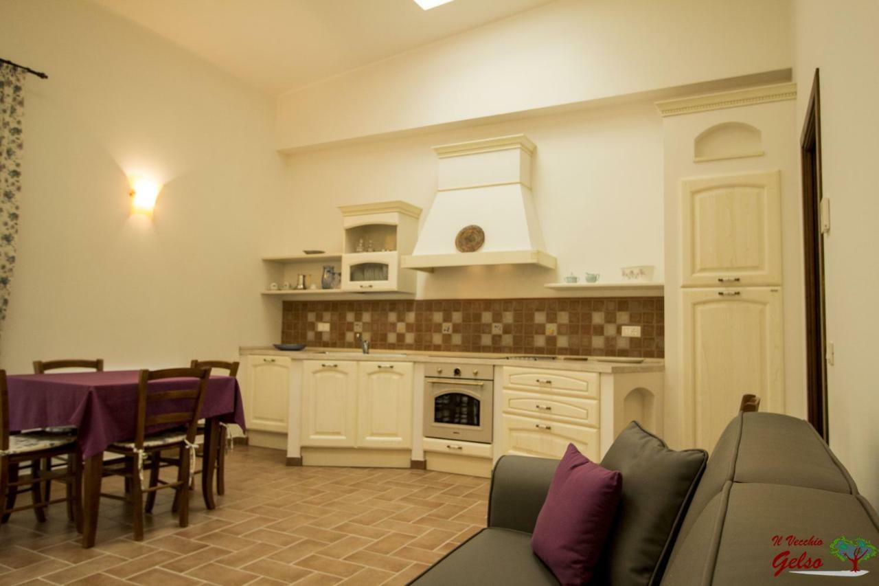 Il Vecchio Gelso - Agriturismo Rimini Montefiore Conca Willa Zewnętrze zdjęcie