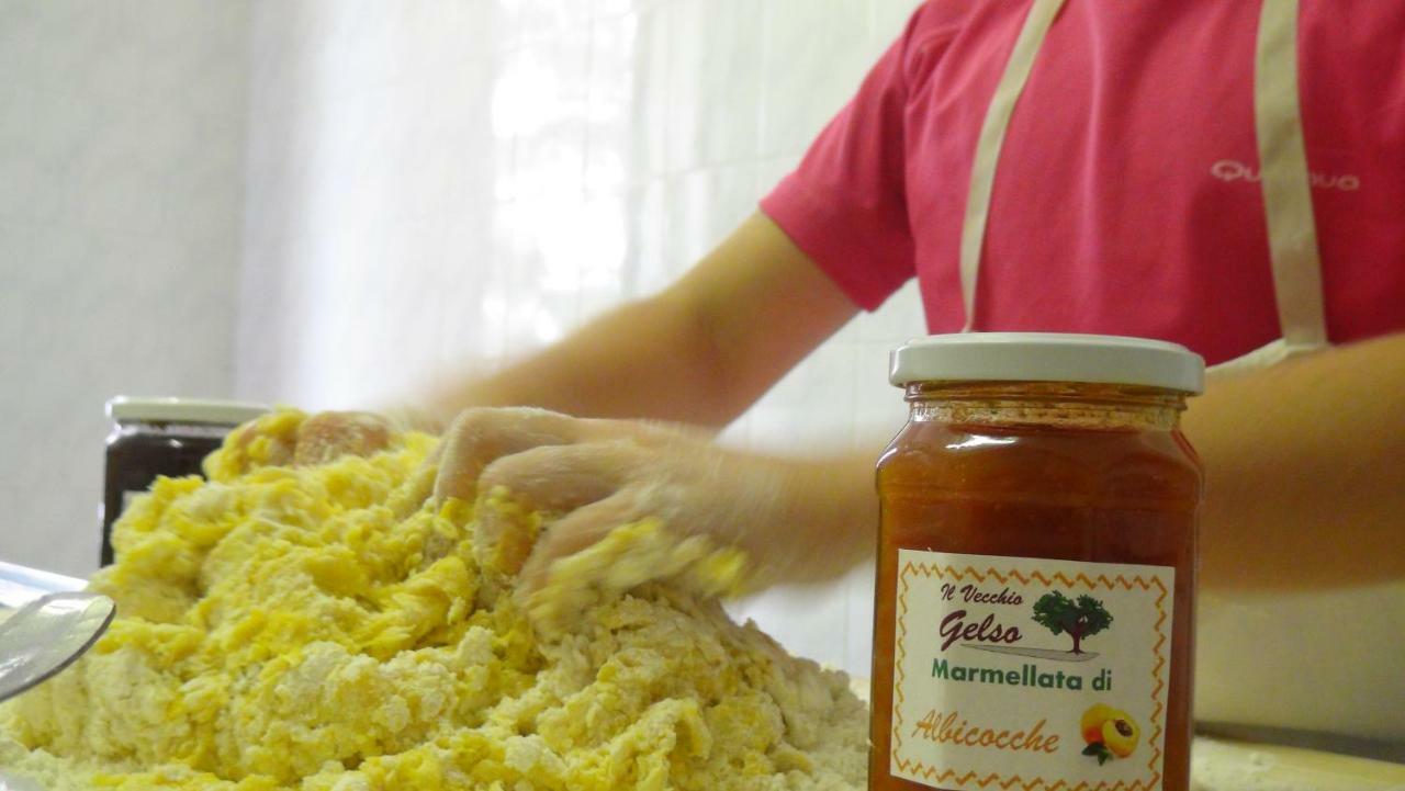 Il Vecchio Gelso - Agriturismo Rimini Montefiore Conca Willa Zewnętrze zdjęcie